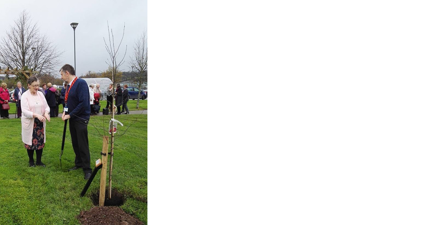 All–Ireland President of the Mothers’ Union, Phyllis Grothier is briefed about tree–planting by the Reverend Bruce Pierce.