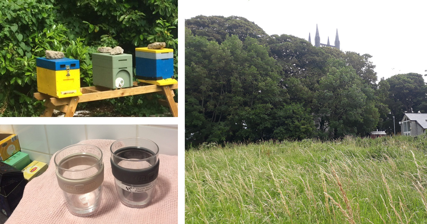 Bee–hives and keep–cups at Church of Ireland House, Dublin. Trees and meadow at St Columba’s Church, Drumcliffe, Co. Sligo.