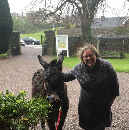 Stormy, wet weather in County Cork on Palm Sunday gave donkeys a rest this year