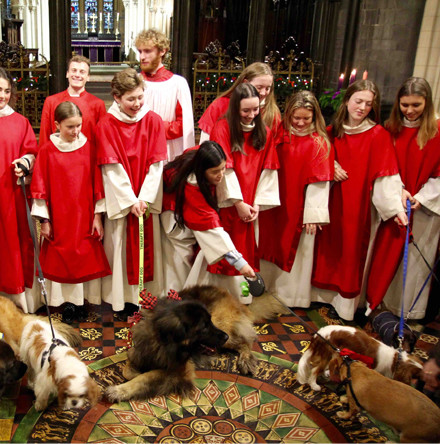 Canine carolers on best behaviour for Peata Christmas Service 