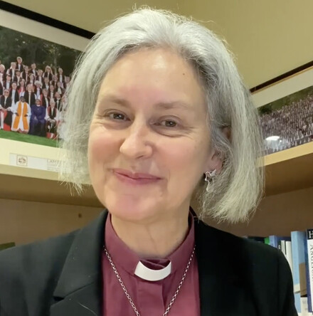 D&G Lambeth Calls webinar brings perspectives from across the Communion