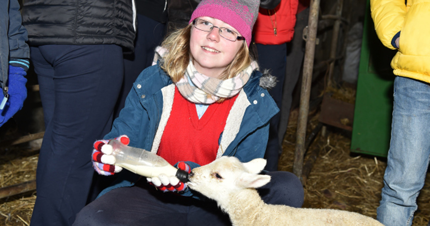 Feeding a lamb at Top of the Rock in Drimoleague.